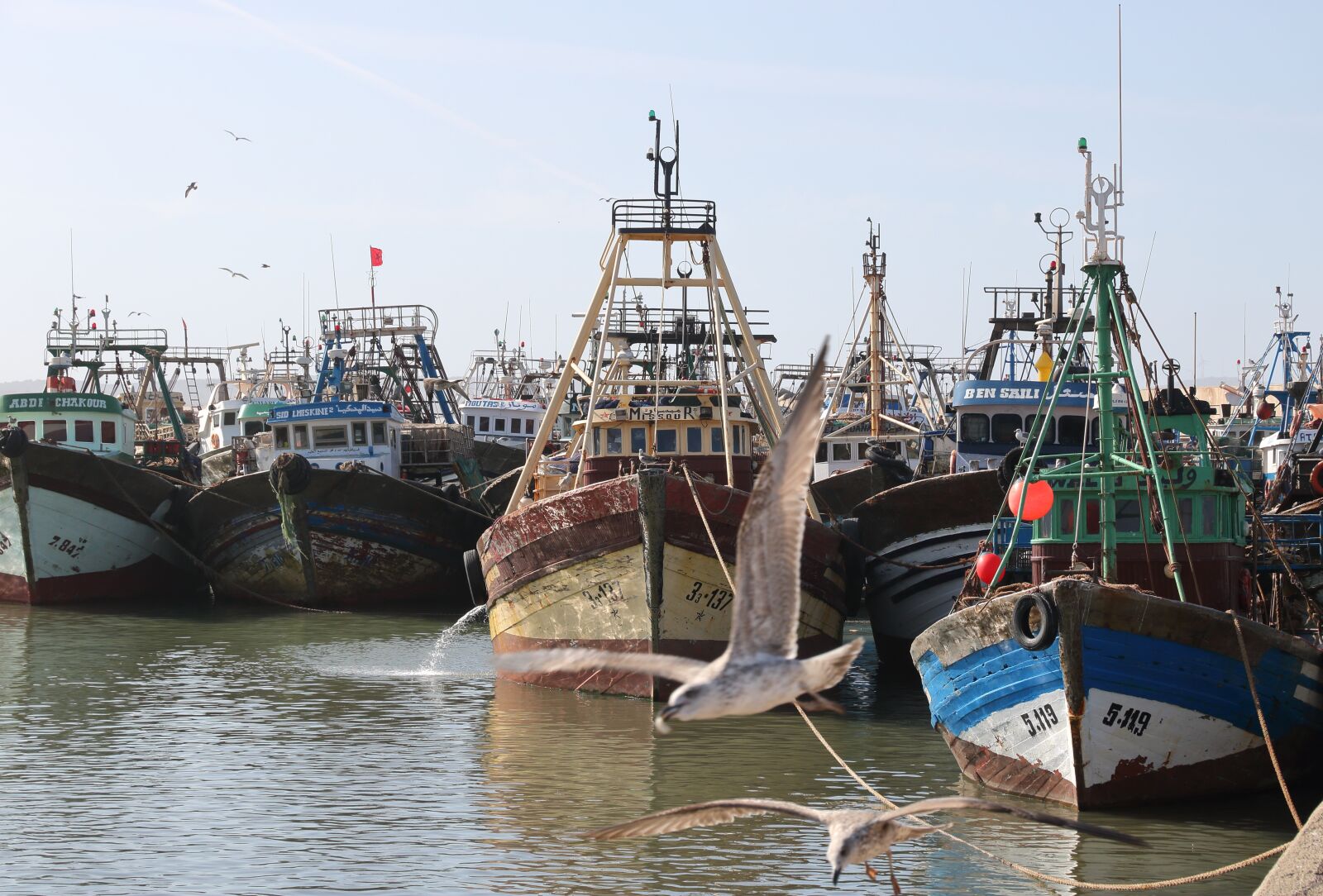 Canon EOS 750D (EOS Rebel T6i / EOS Kiss X8i) sample photo. Morocco, essaouira, harbor photography