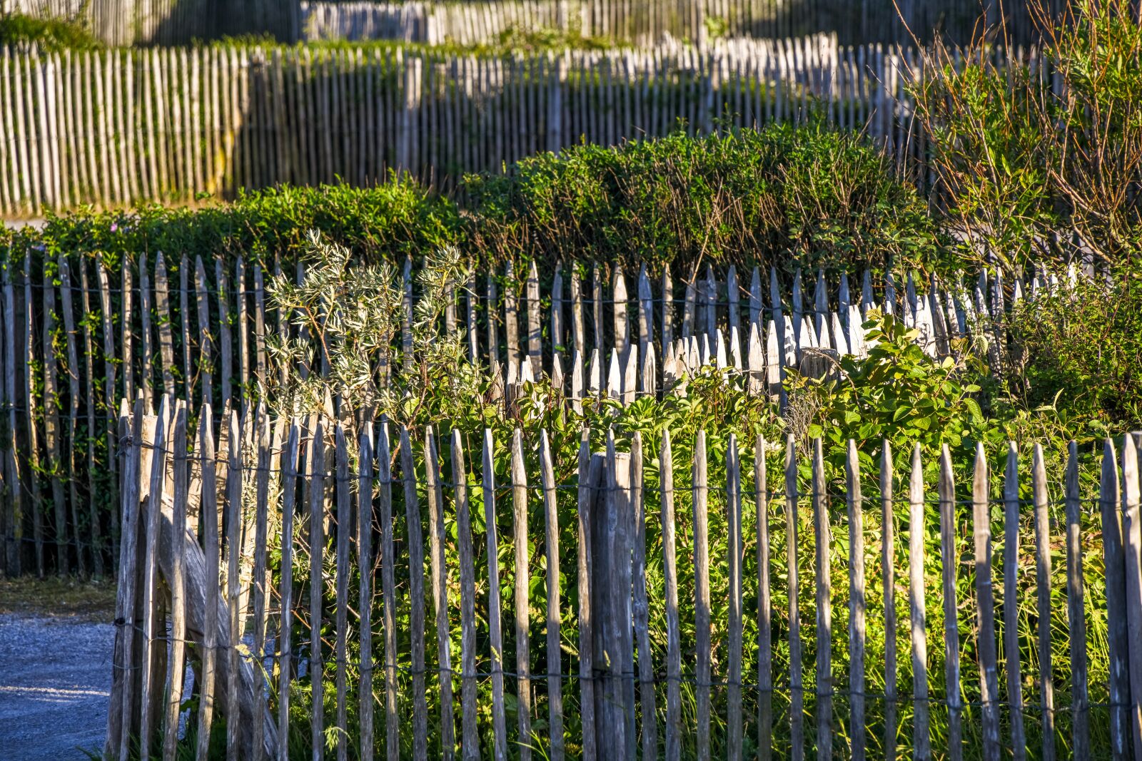 Tamron 28-300mm F3.5-6.3 Di VC PZD sample photo. Fence, bushes, nature photography