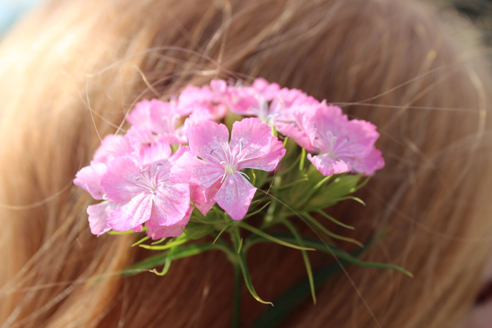 Canon EOS 1300D (EOS Rebel T6 / EOS Kiss X80) sample photo. Flowers in her hair photography