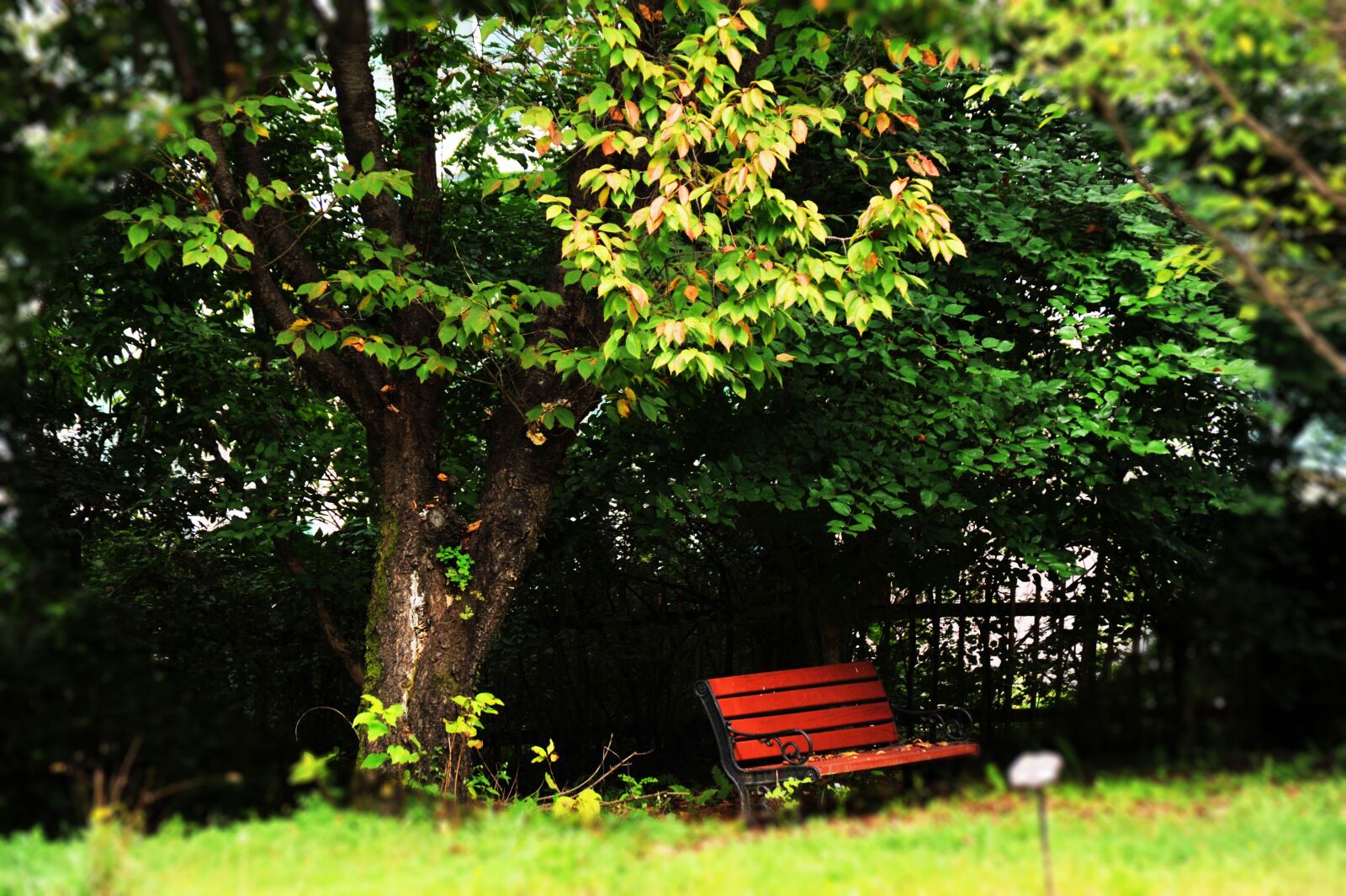 Nikon D700 sample photo. Autumn, wood, chair photography