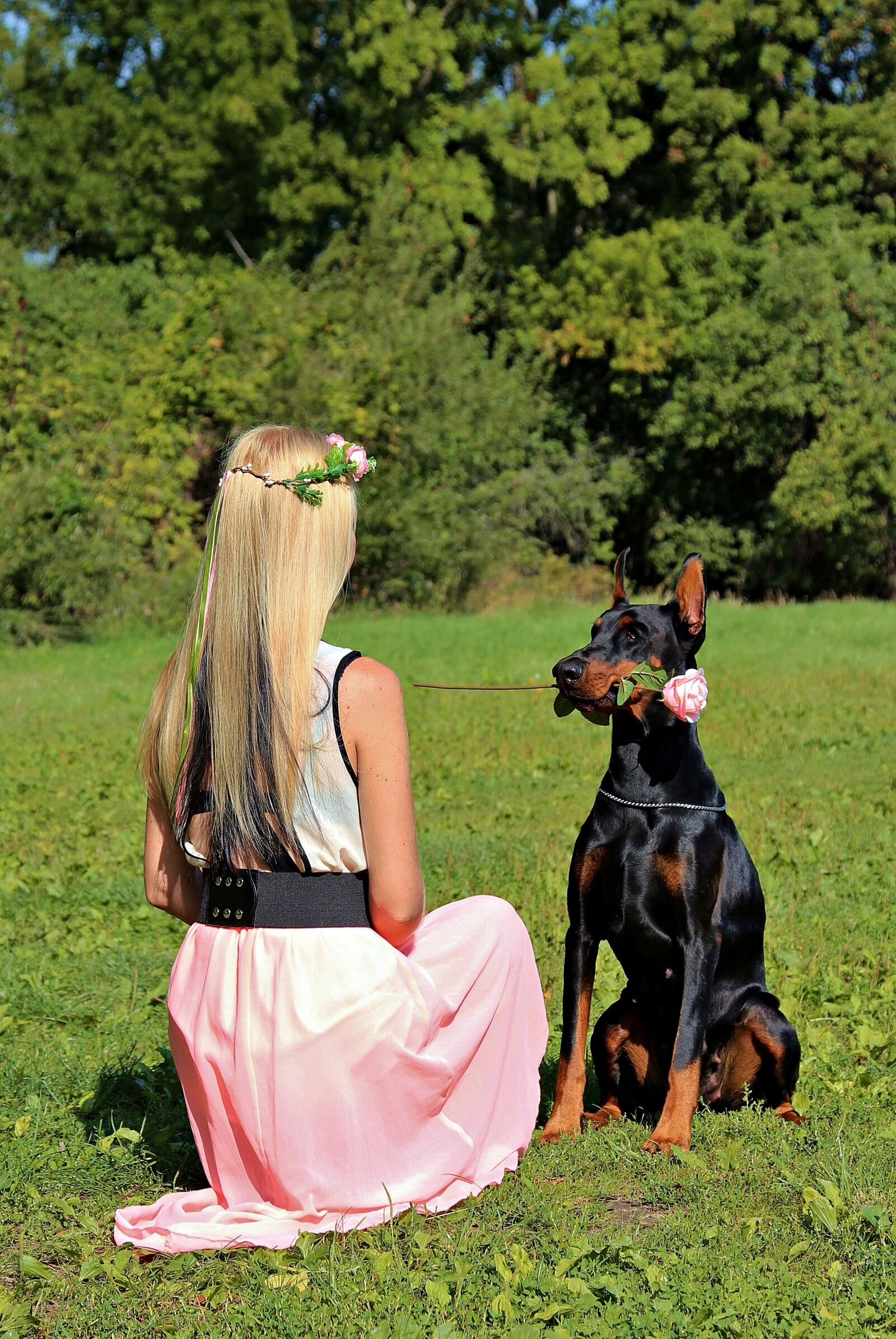 Canon EOS 600D (Rebel EOS T3i / EOS Kiss X5) + Canon EF 24-105mm F4L IS USM sample photo. Doberman, dog, rose photography