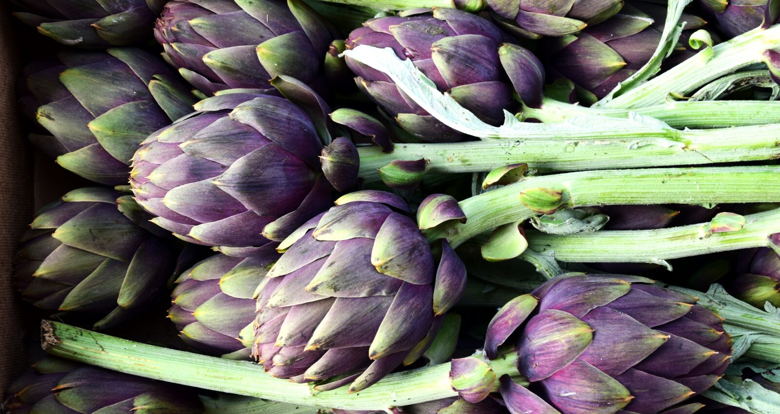 Nikon D3300 sample photo. Artichoke, vegetables, food photography