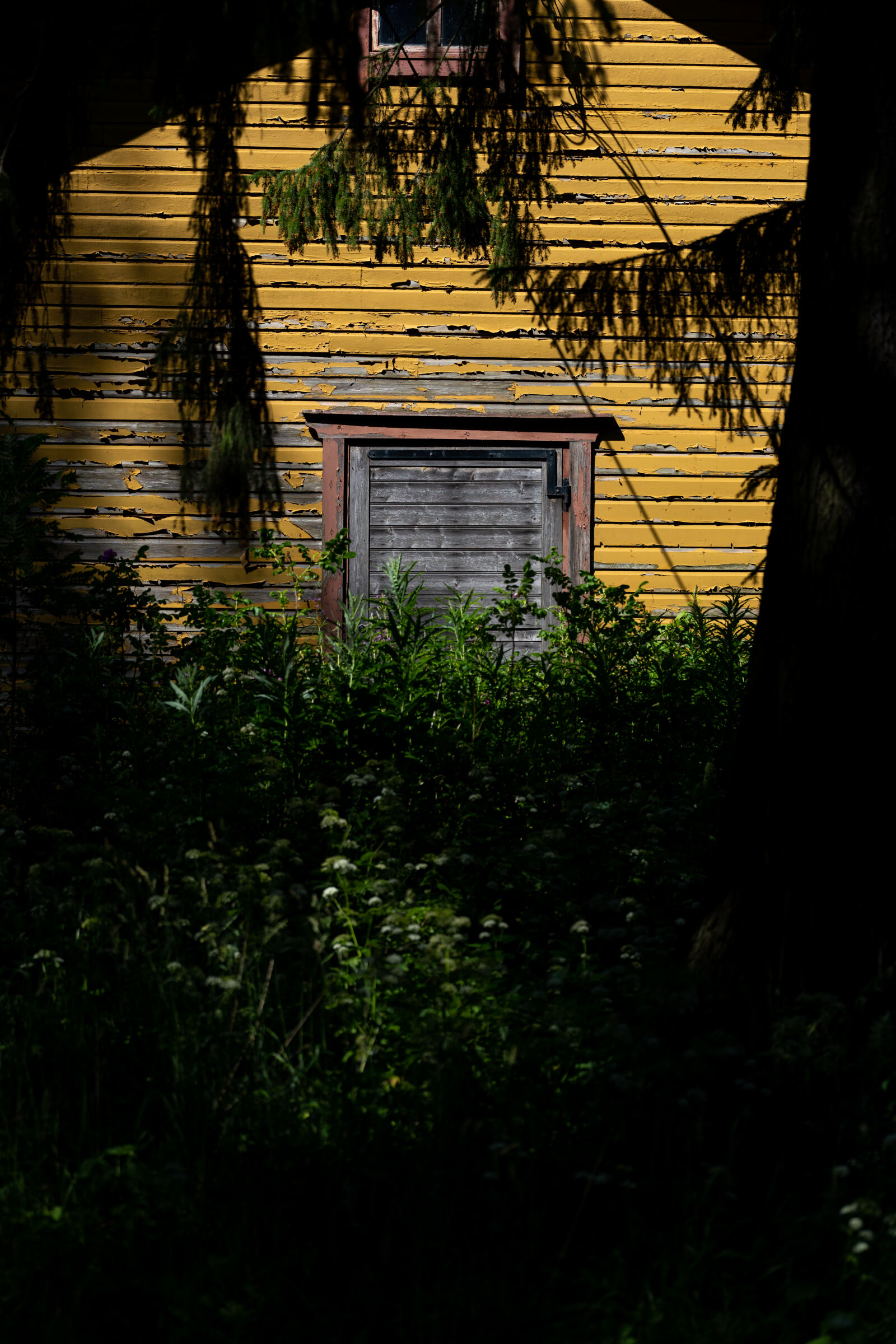 Sony a7R IV sample photo. Yellow cottage photography