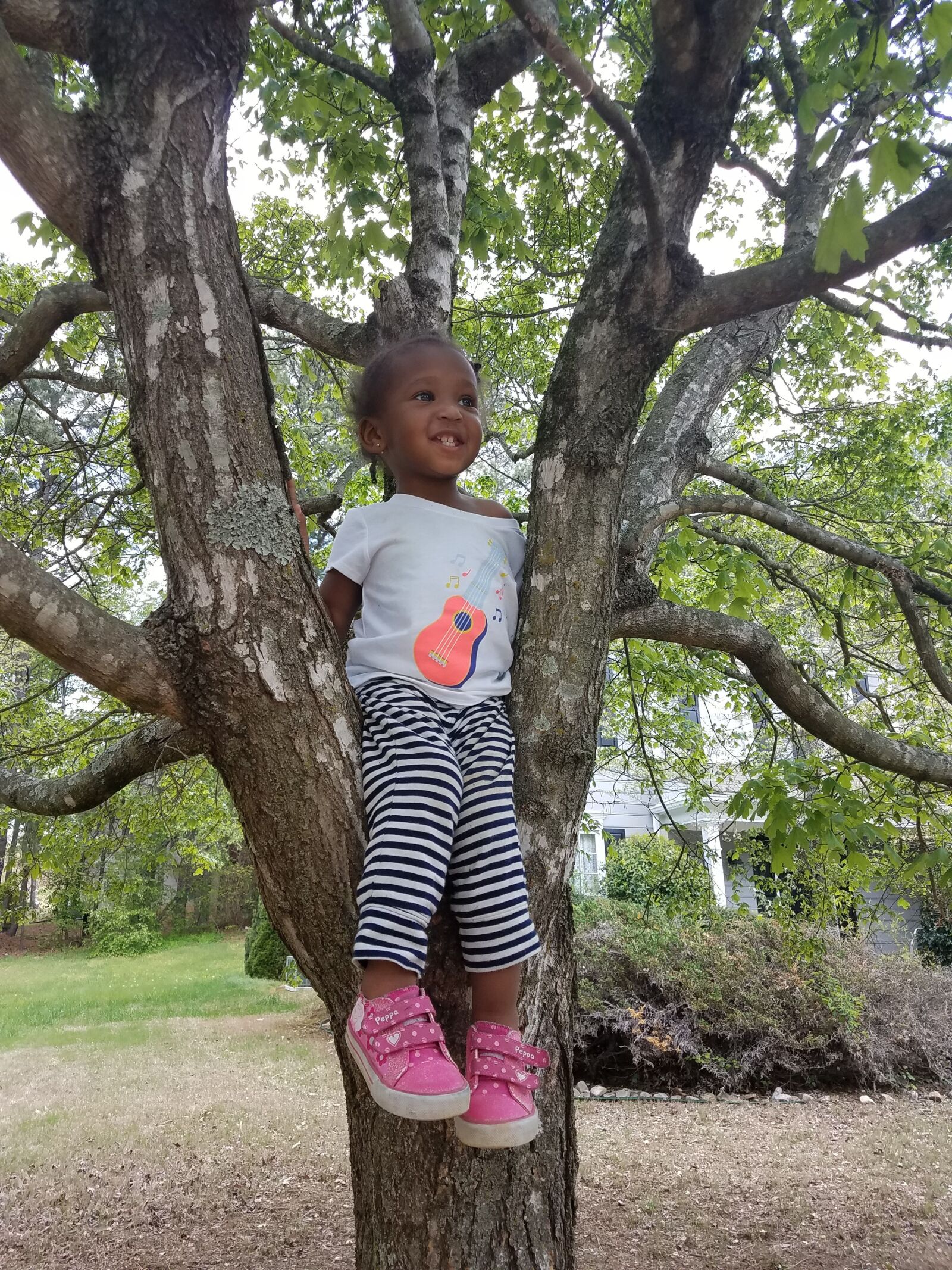 Samsung Galaxy S7 Edge sample photo. Child, climbing, tree photography