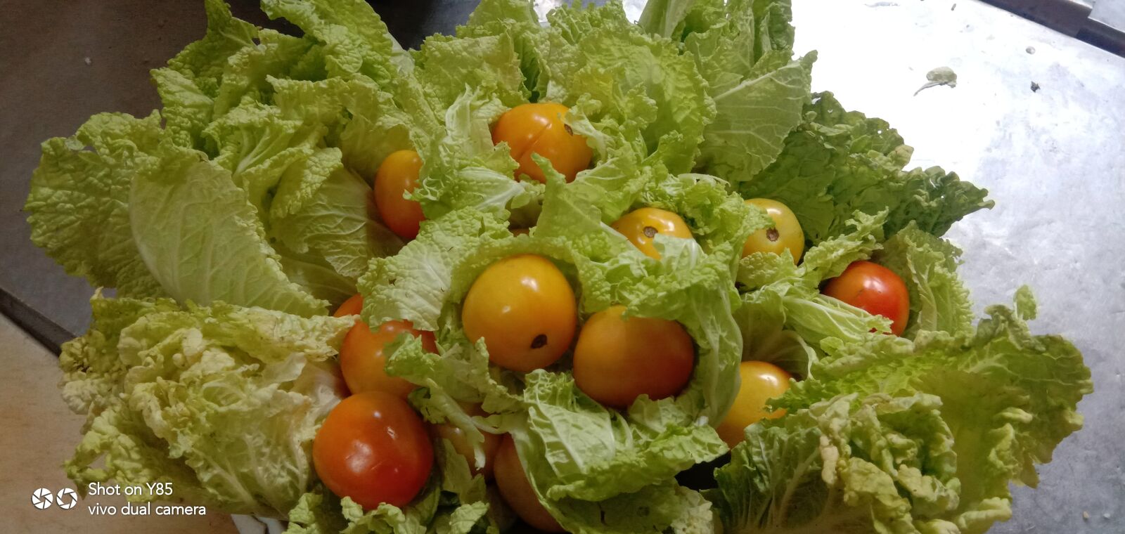 vivo 1726 sample photo. Vegetables, vegetarian, tomatoes photography