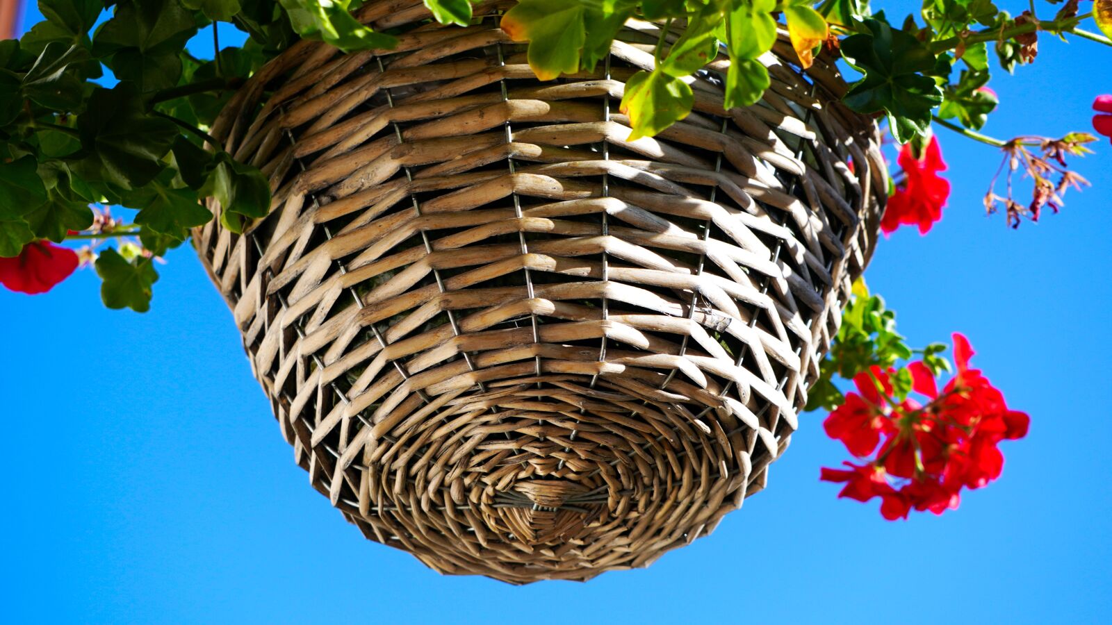 Sony E 55-210mm F4.5-6.3 OSS sample photo. Basket, hanging traffic lights photography