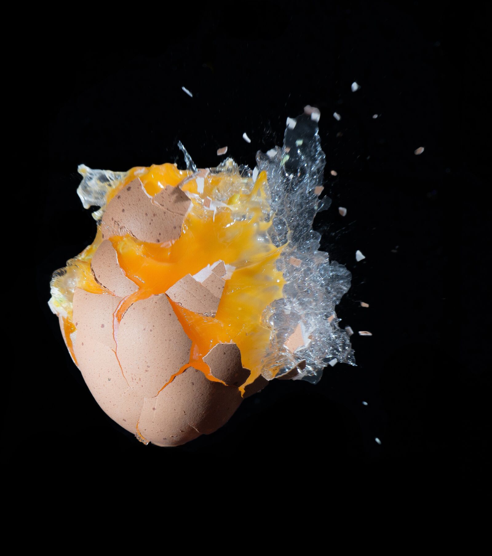 Nikon D4 sample photo. Egg, shot, explosion photography
