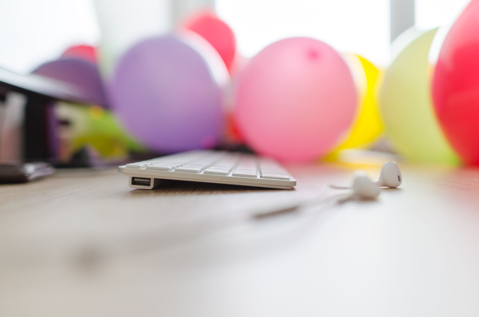 Nikon D5100 sample photo. Above, background, blank, business photography
