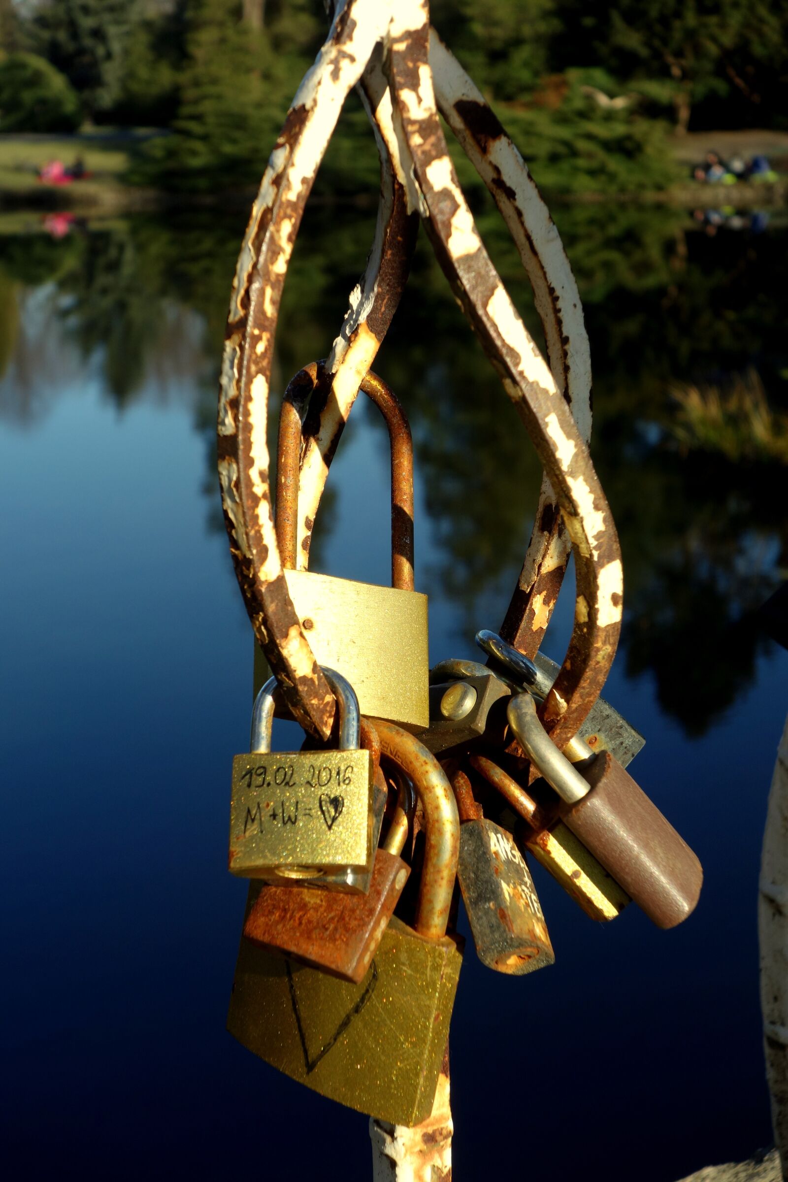 Sony Cyber-shot DSC-RX100 sample photo. Padlocks, love, park photography