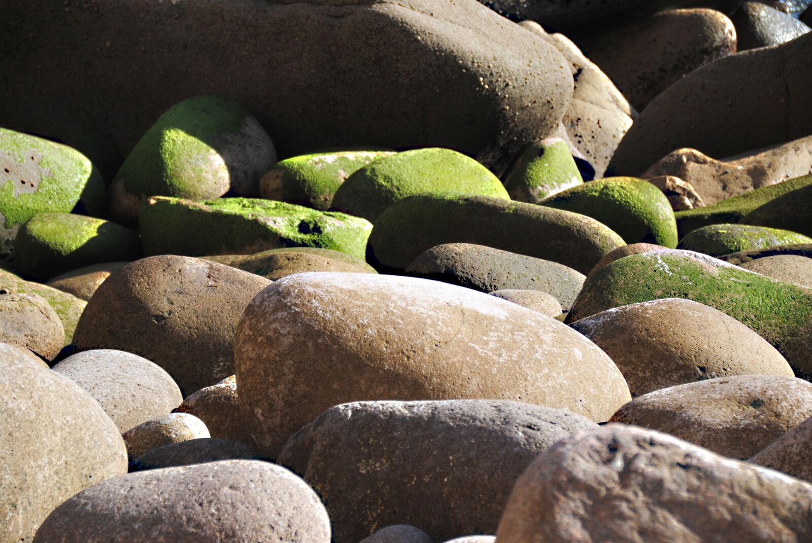 Nikon D3000 sample photo. Riesen, stones, rock photography