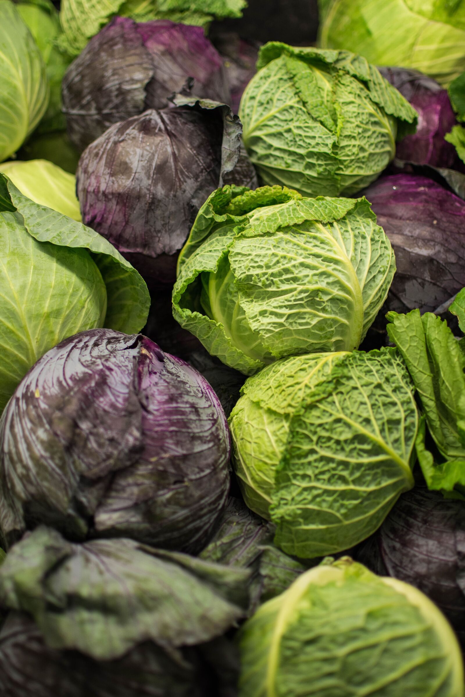 Nikon D7200 sample photo. Food, vegetable, cabbage photography