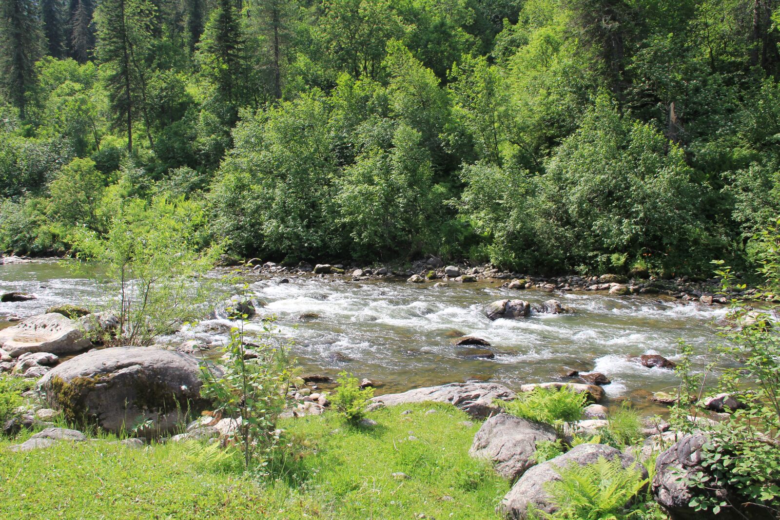 Canon EF-S 18-135mm F3.5-5.6 IS sample photo. Mountain river, mountain altai photography