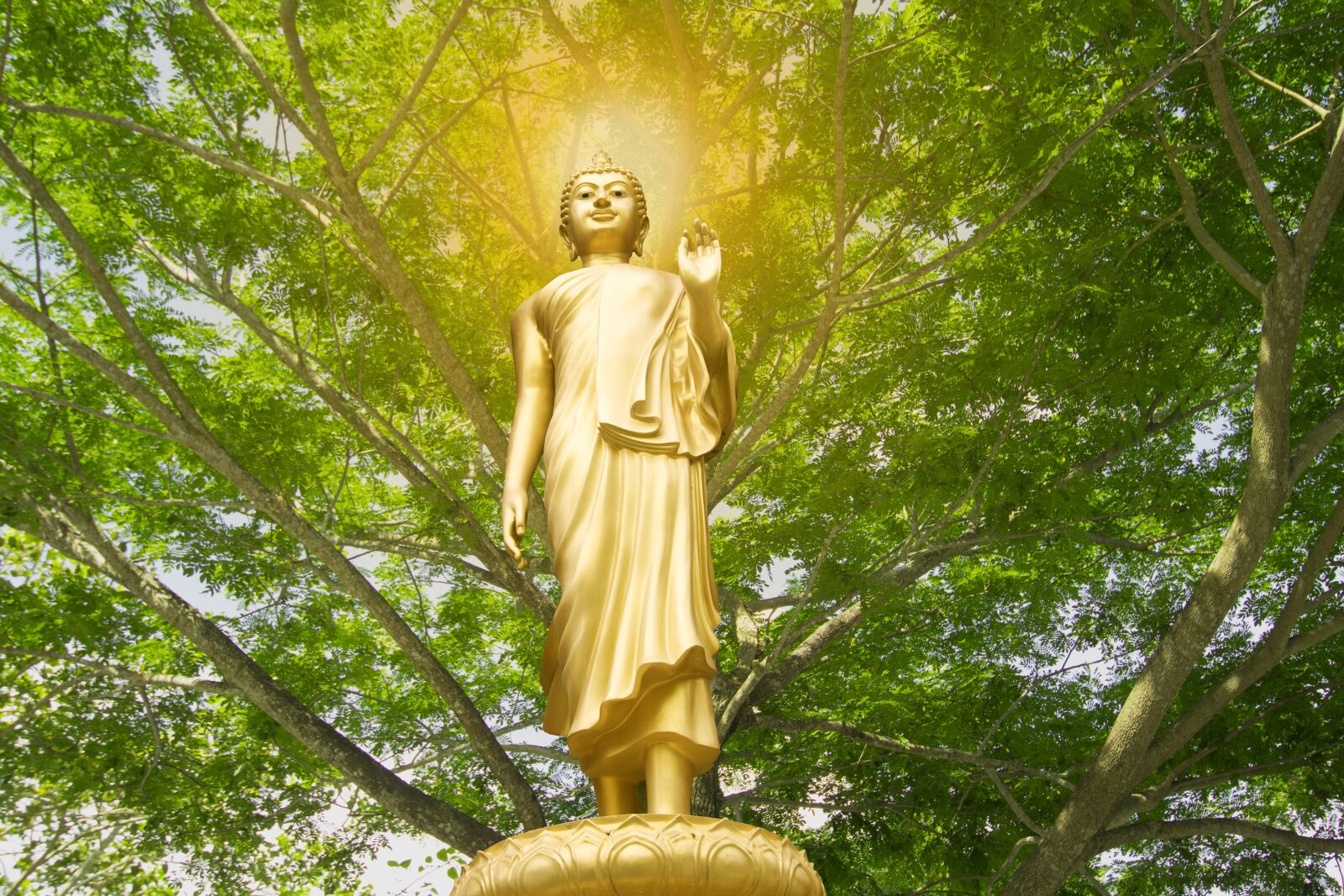 Canon EOS 80D sample photo. Buddha, isolated, gold photography
