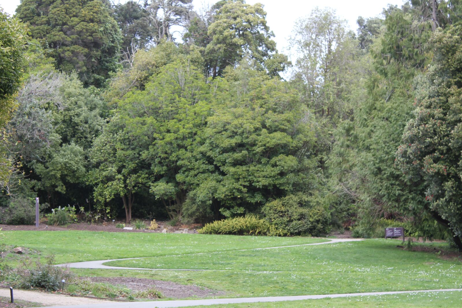 Canon EOS 550D (EOS Rebel T2i / EOS Kiss X4) sample photo. Golden gate park, san photography