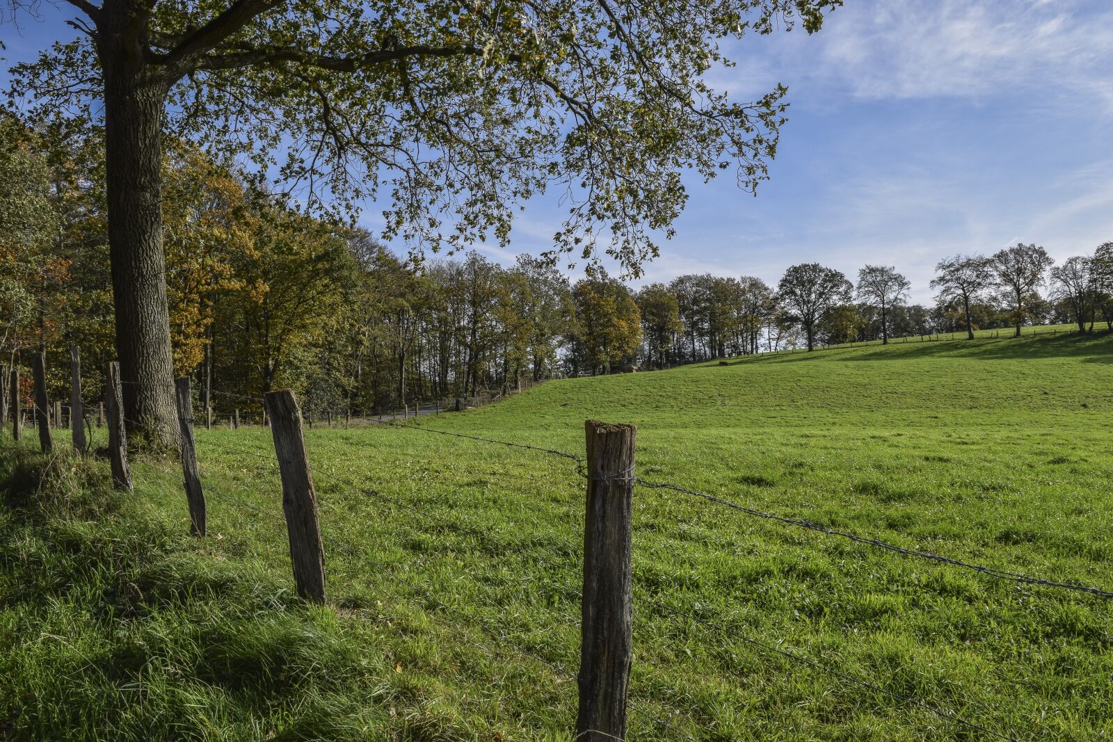 Nikon D3300 sample photo. Landscape, pasture, nature photography