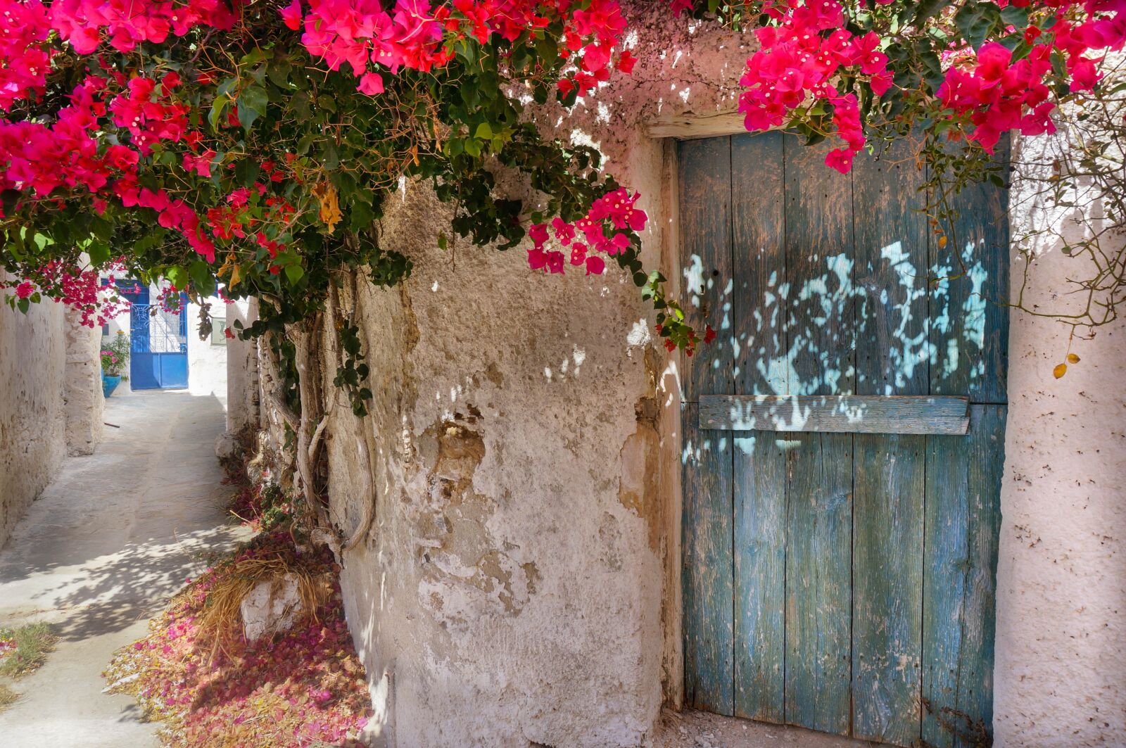 Sony Alpha NEX-5T sample photo. Greek island, red, flowers photography