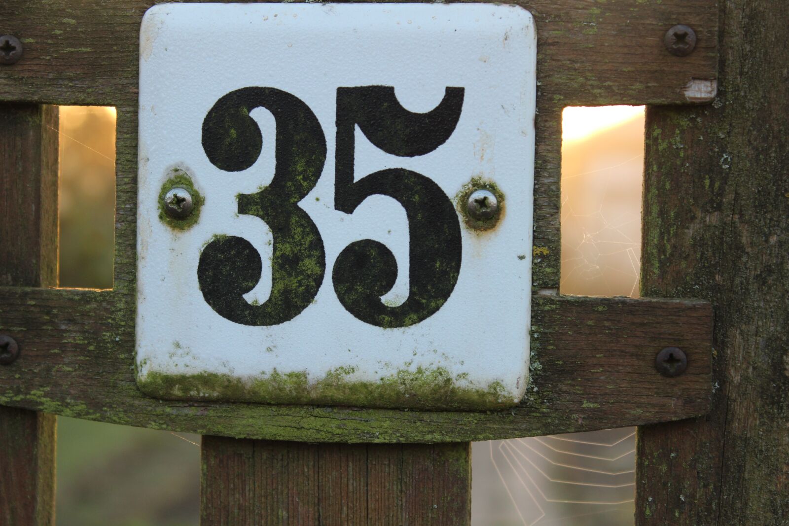 Canon EOS 1300D (EOS Rebel T6 / EOS Kiss X80) sample photo. Number, 35, enamel sign photography