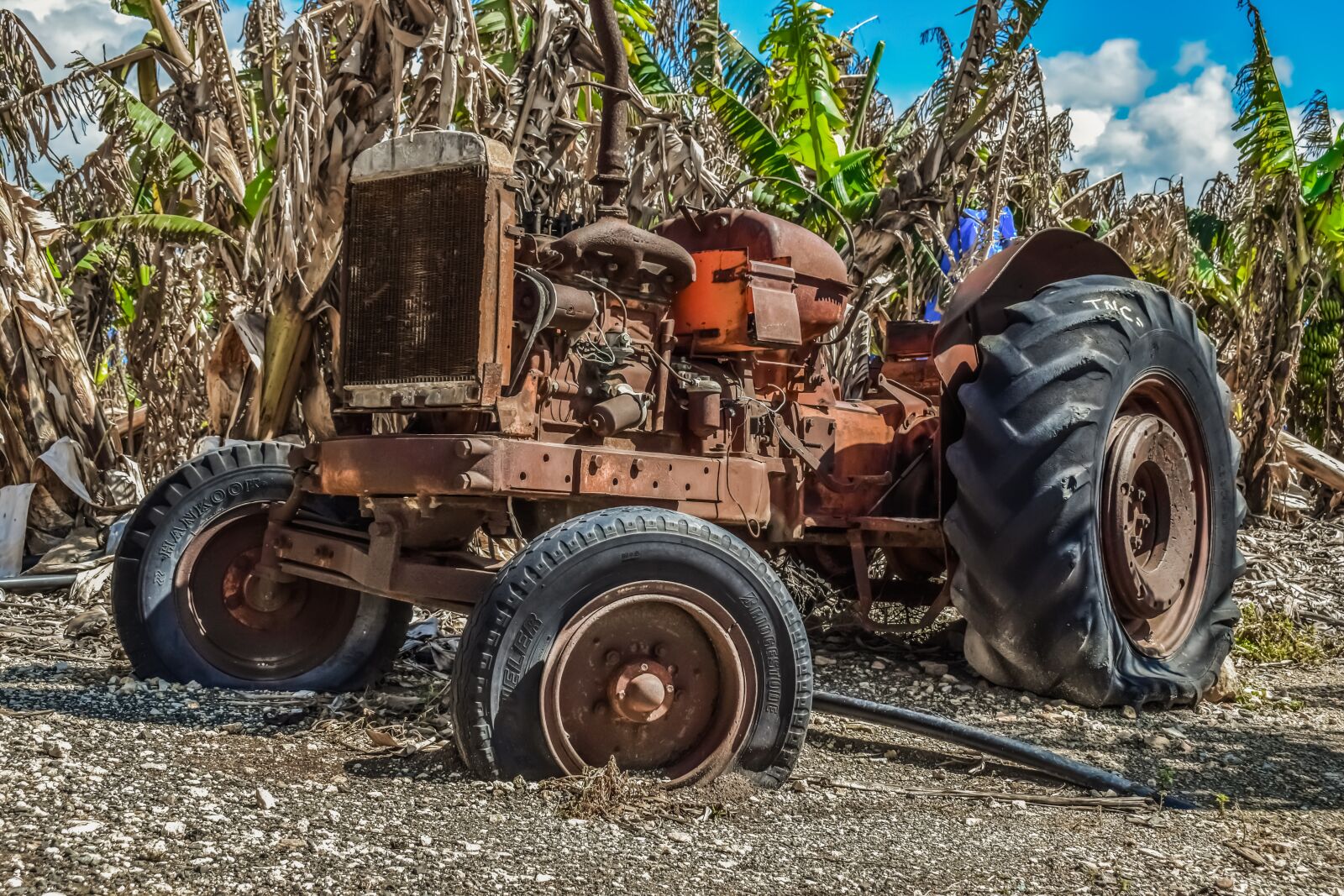 Nikon D3300 sample photo. Tractor, old, oldtimer photography