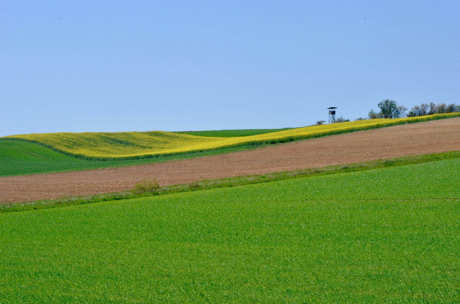 Nikon D5100 sample photo. Spring, fields, agriculture photography