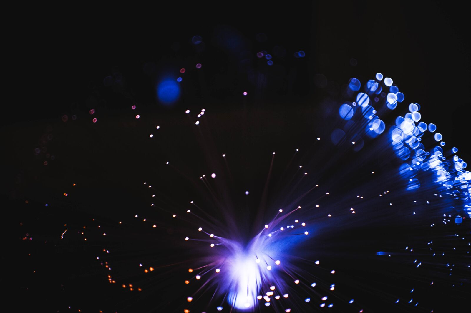 Nikon D700 sample photo. Light, night, shining photography