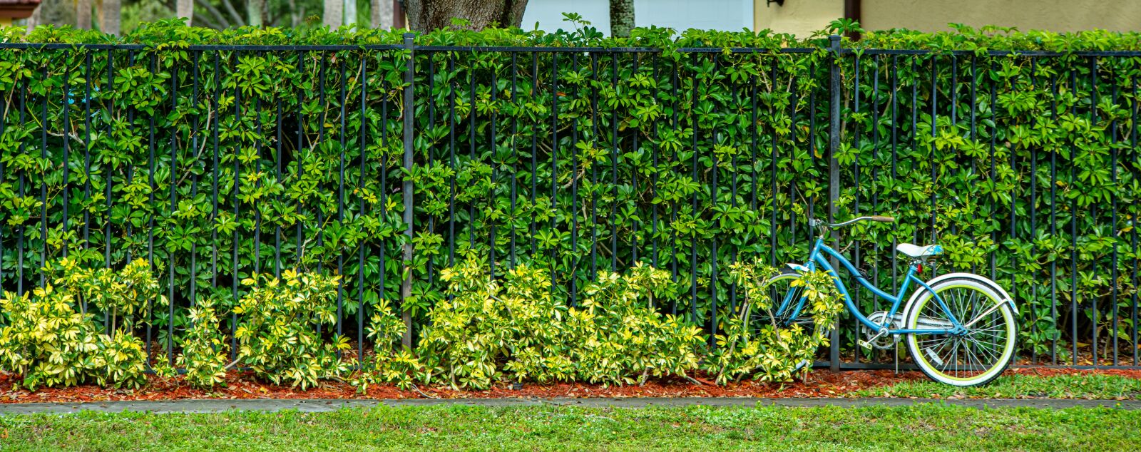 Nikon D750 sample photo. Bicycle, fence, hedge photography