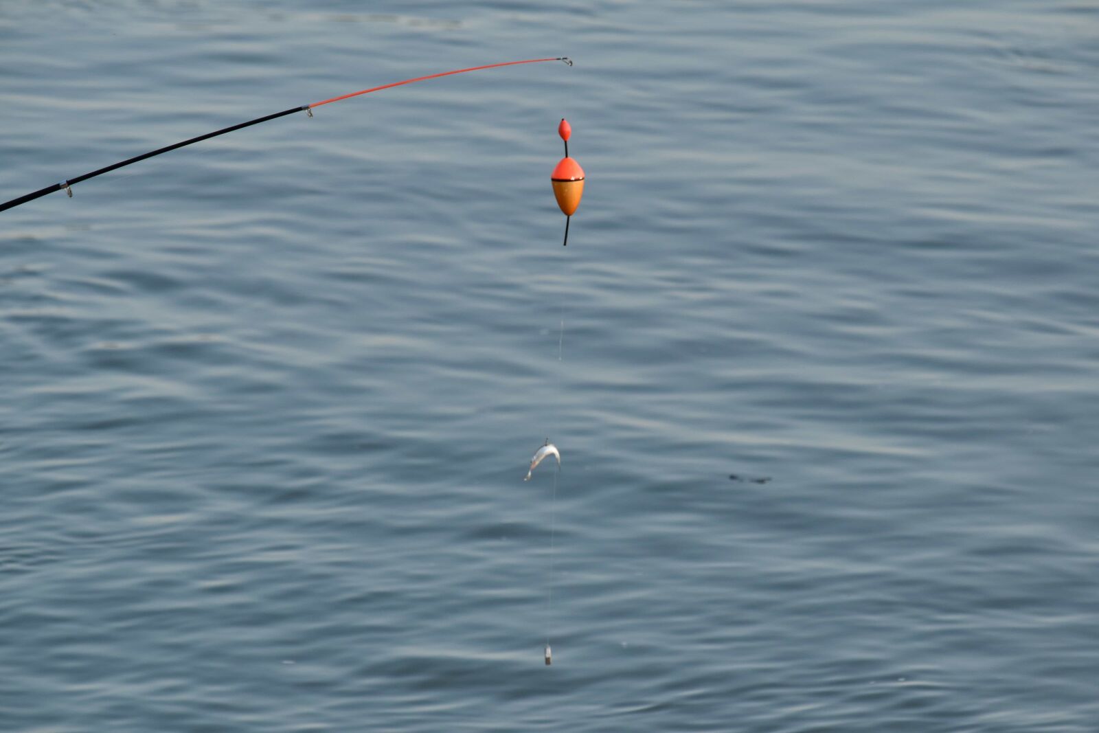 Nikon D5500 sample photo. Fishing gear, water, ocean photography