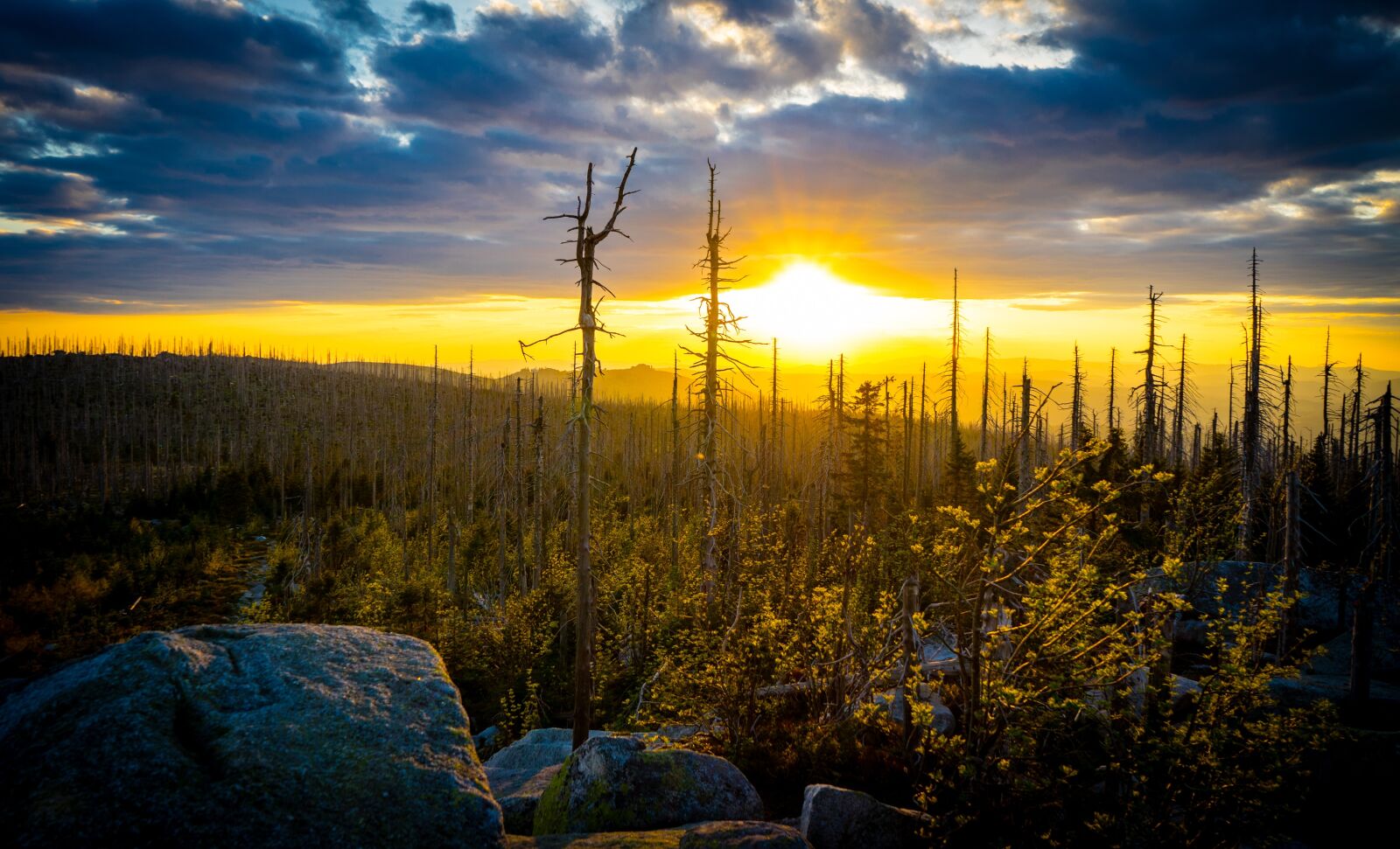 Sony a7 II + Sony FE 28-70mm F3.5-5.6 OSS sample photo. Sunset, forest, plešné photography