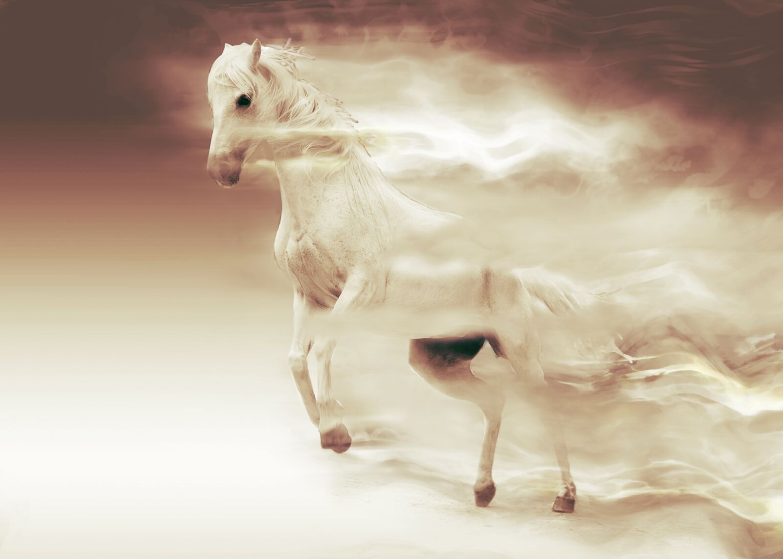 Canon EOS 7D sample photo. Mare, animal, nature photography