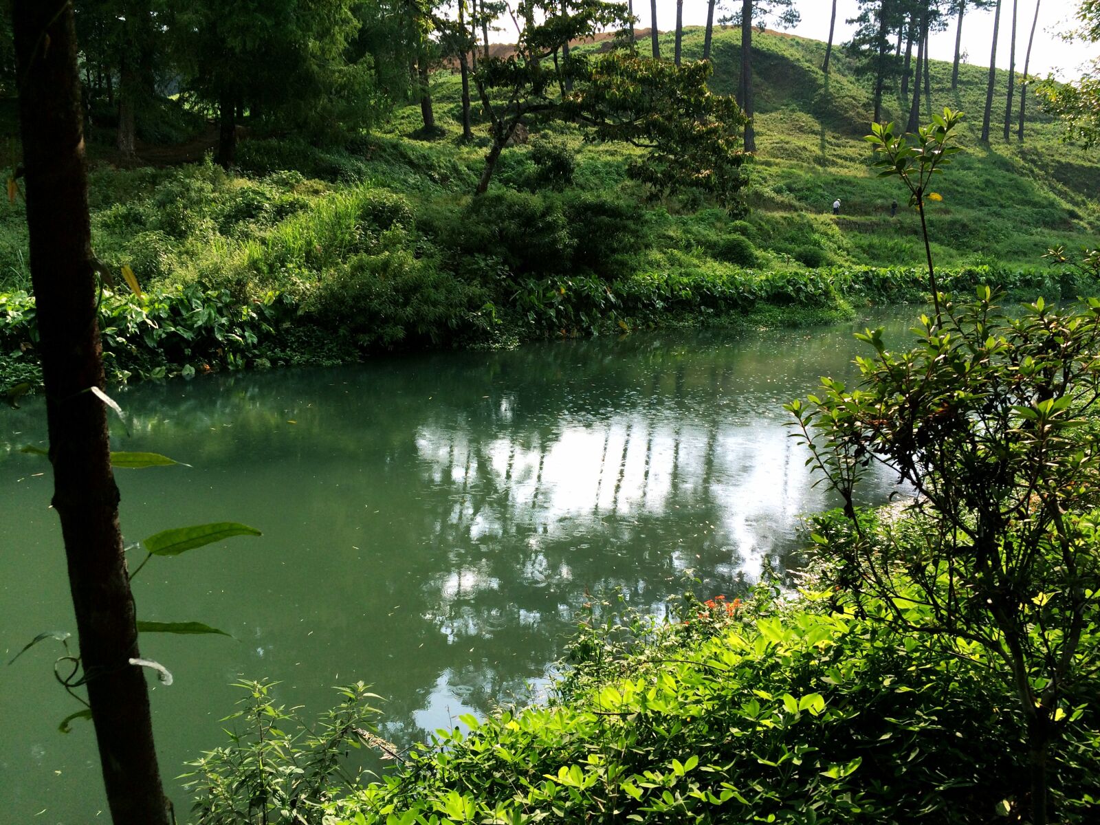 iPhone 5s back camera 4.15mm f/2.2 sample photo. Coban, magdalena, landscape photography