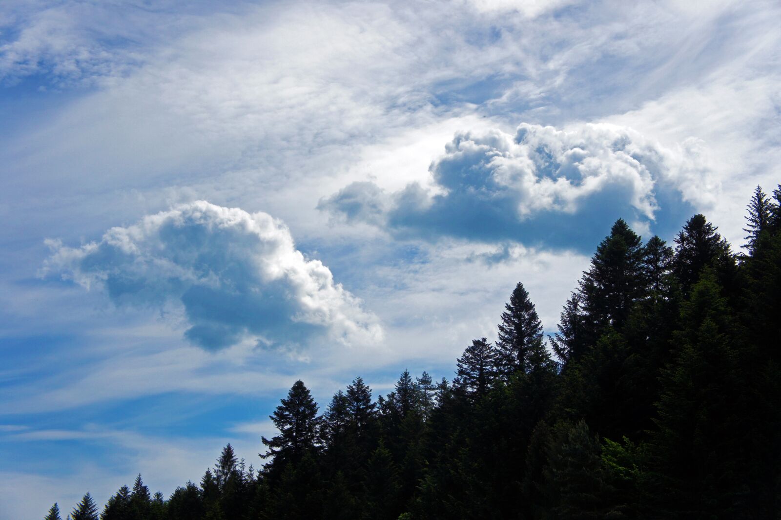 Sony Alpha NEX-3 + Sony E 18-55mm F3.5-5.6 OSS sample photo. Clouds, forest, landscape photography