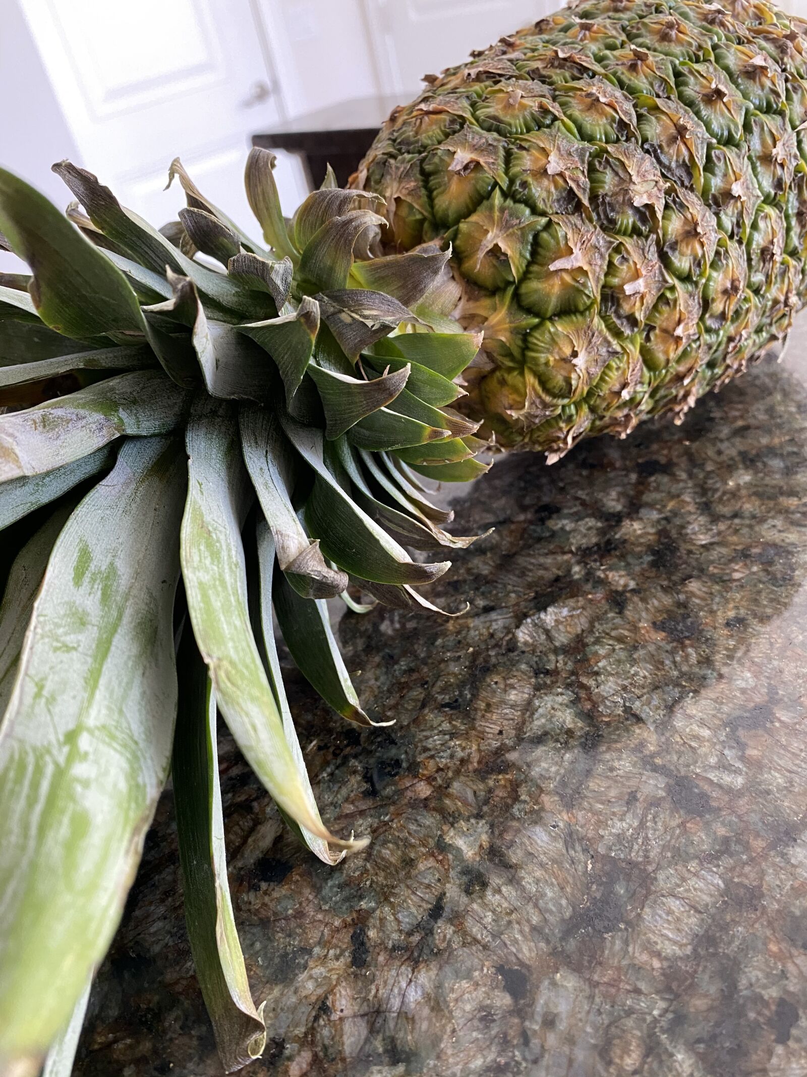 iPhone 11 back dual wide camera 4.25mm f/1.8 sample photo. Pineapple, food, fruit photography
