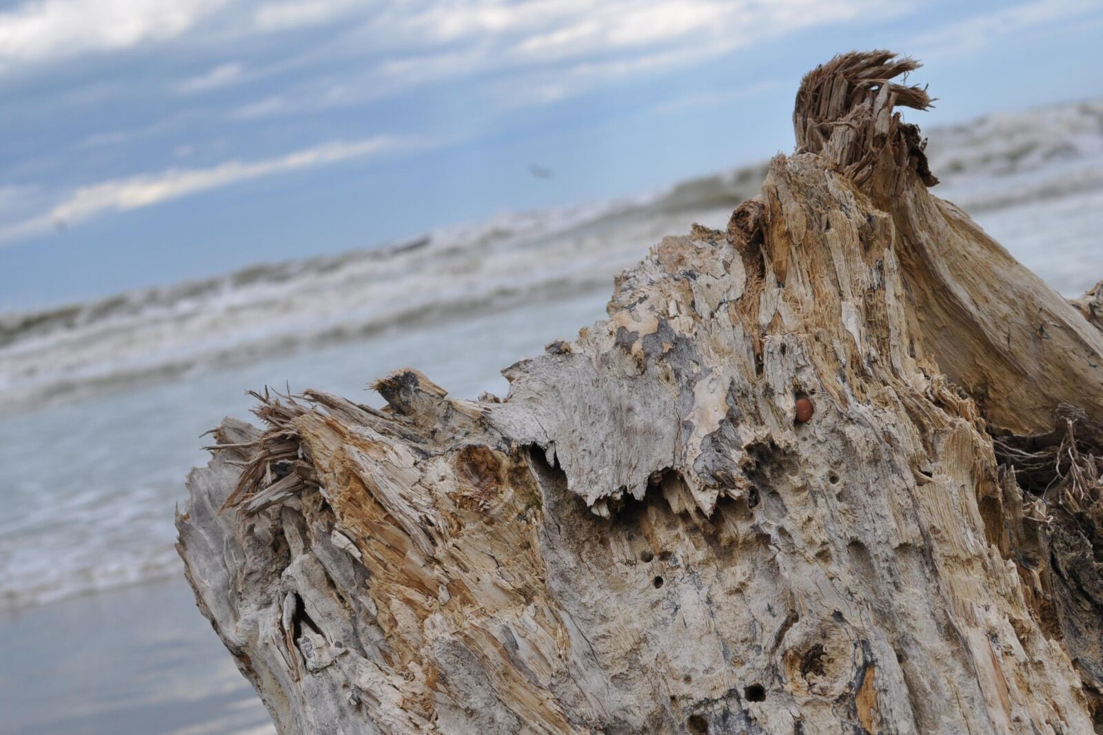 Nikon D5000 sample photo. Nature, waters, landscape photography