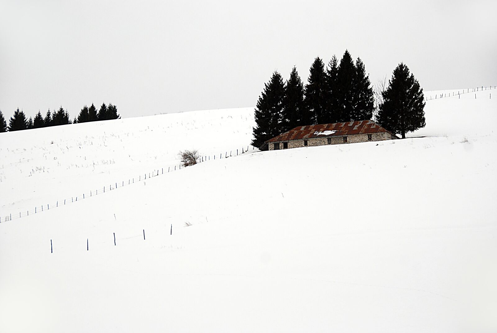 Nikon D80 sample photo. Asiago, asiago7comuni, veneto photography