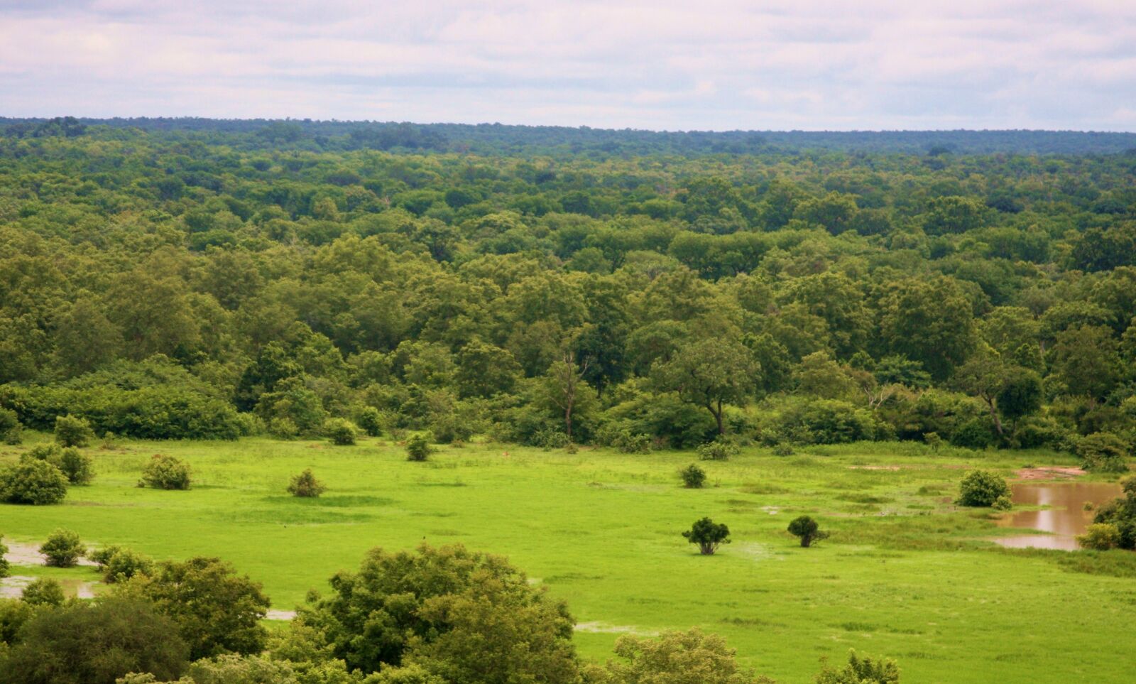 Canon EOS 40D sample photo. National park, mole national photography