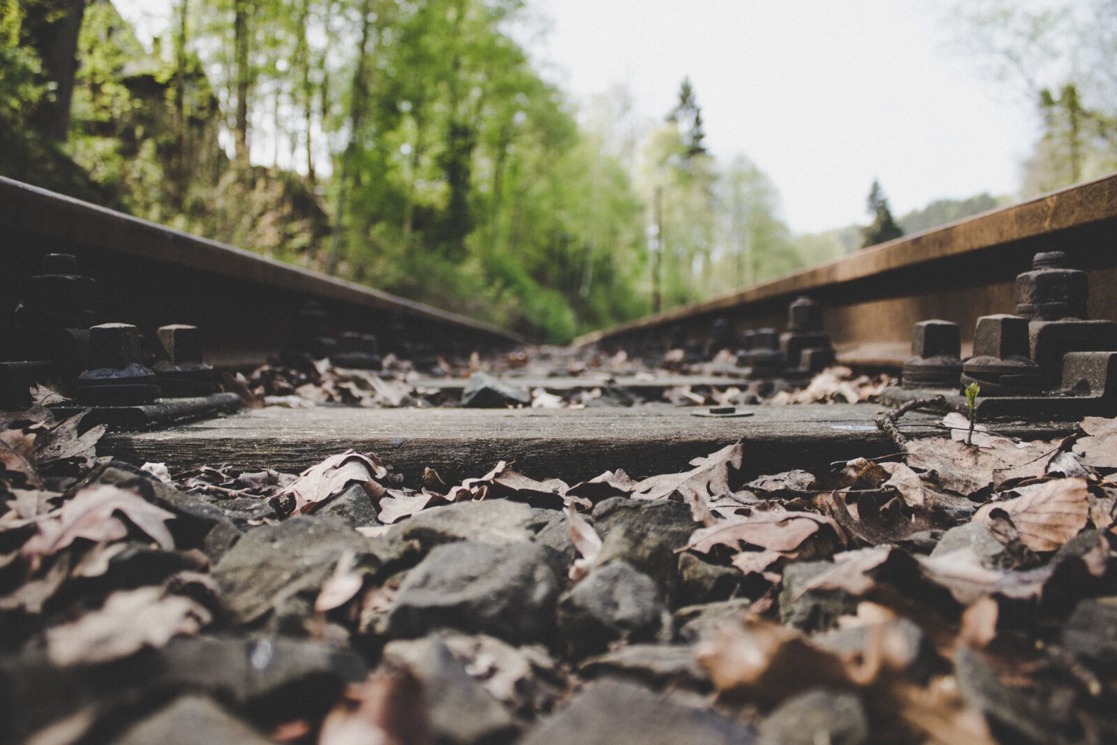 Canon EOS 100D (EOS Rebel SL1 / EOS Kiss X7) sample photo. Track, stones, ties photography