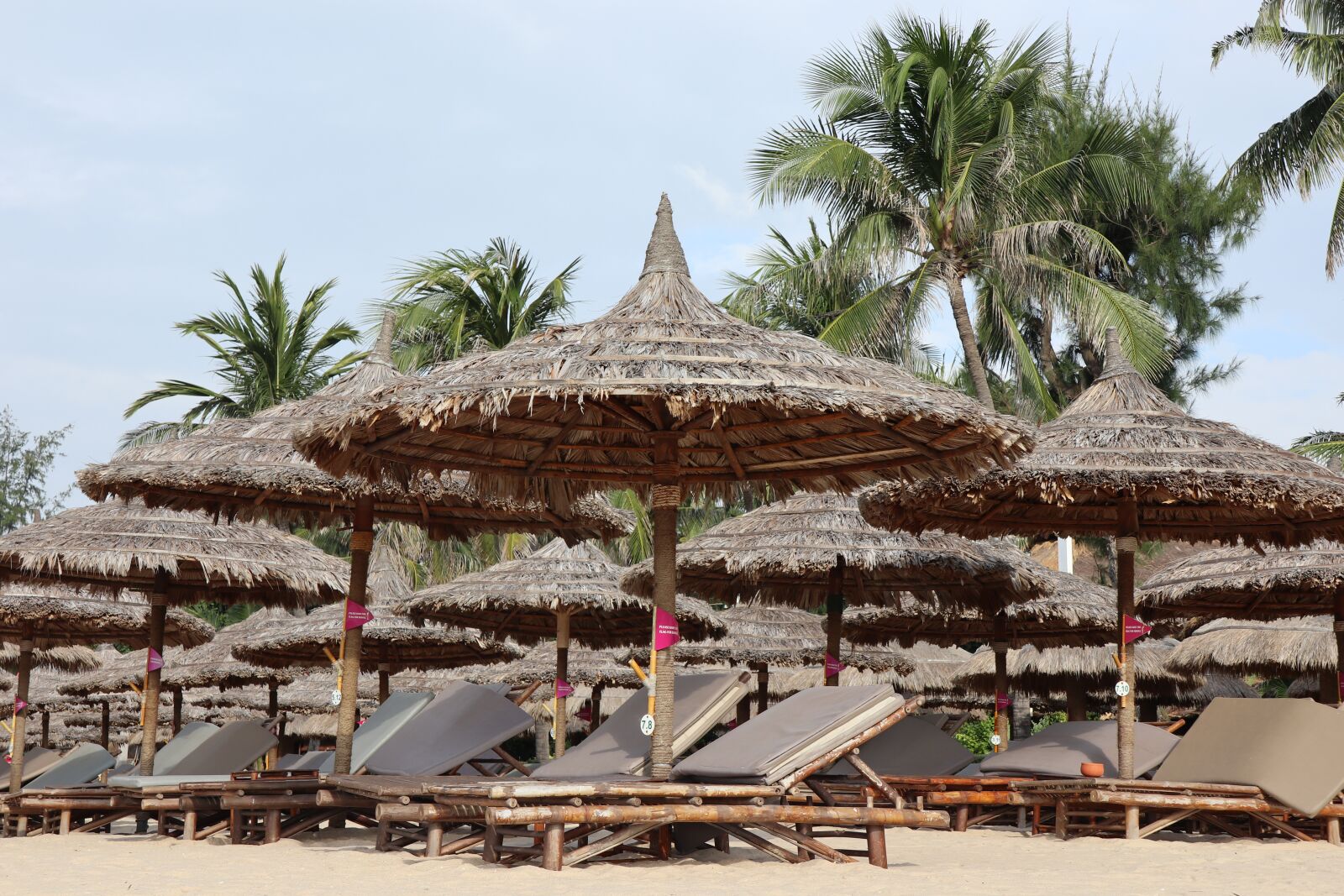 Canon EOS M6 sample photo. Cottages, beach, coconut trees photography