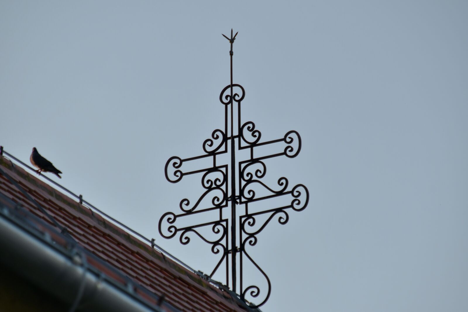 Nikon D5500 sample photo. Art, baroque, cast iron photography