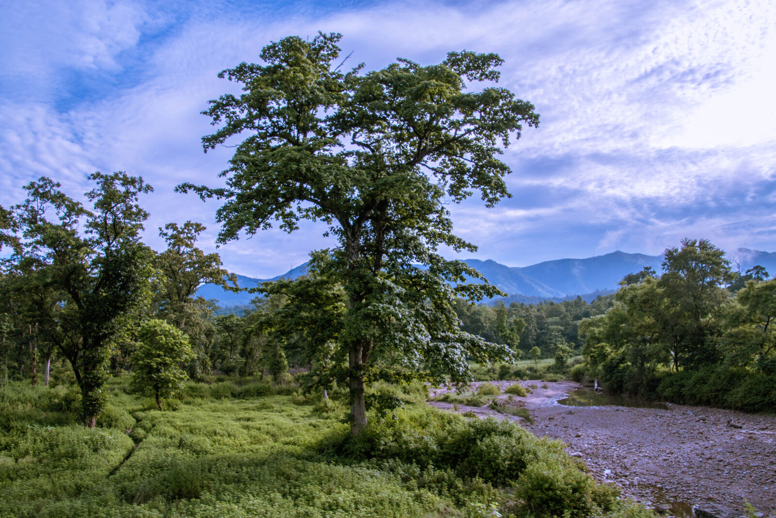 Canon EOS 70D sample photo. Nepal photography