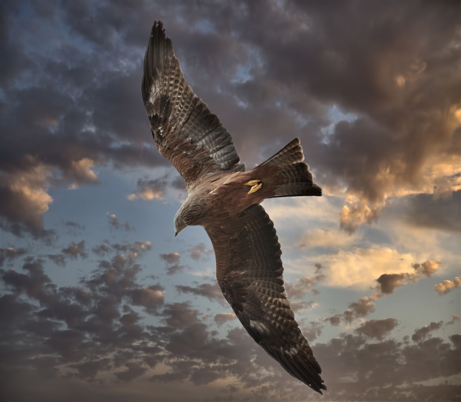 Canon EOS 5D Mark III sample photo. Falco, sky, clouds photography