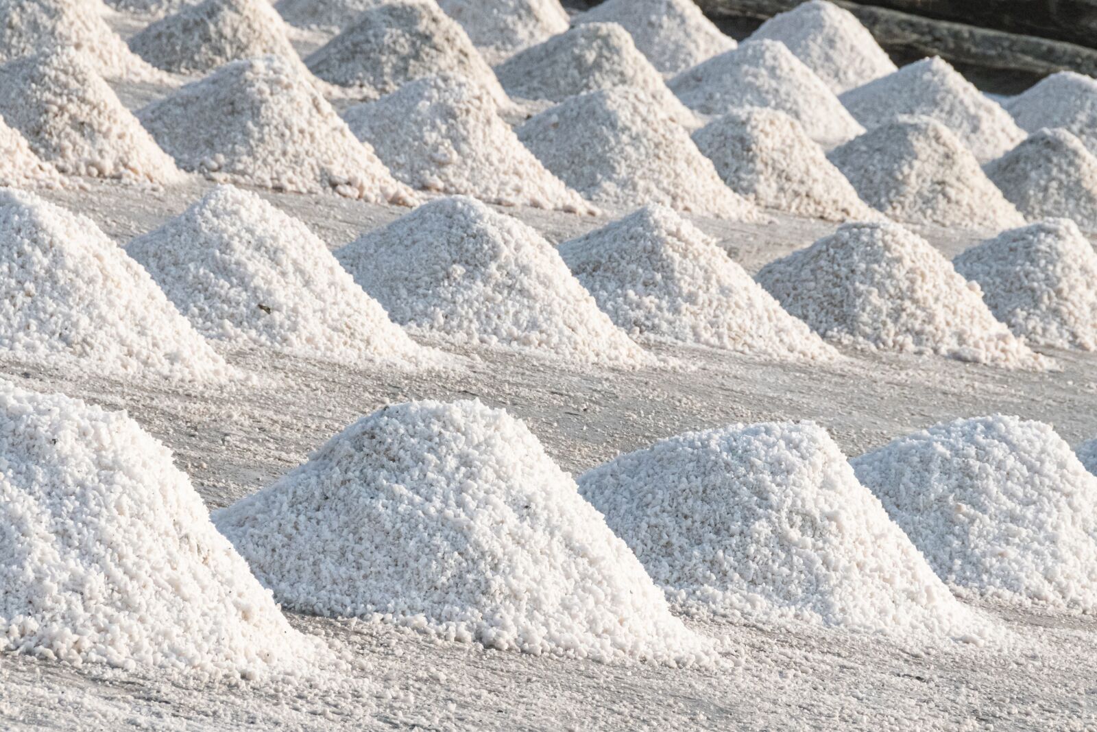 Nikon D5600 sample photo. Salt, hill, nature photography