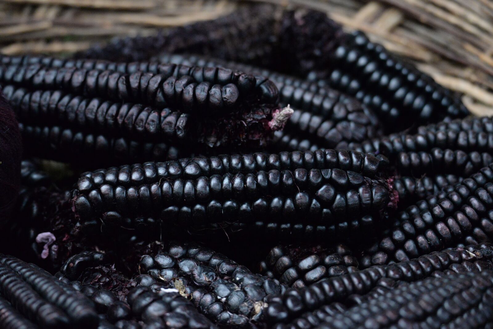 Nikon D610 sample photo. Black corn, food, nature photography