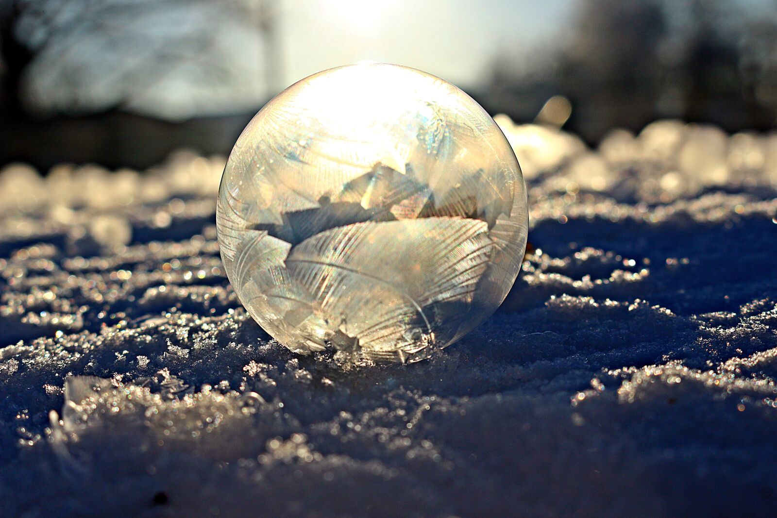 Canon EOS 100D (EOS Rebel SL1 / EOS Kiss X7) sample photo. Soap bubble, eiskristalle, sun photography