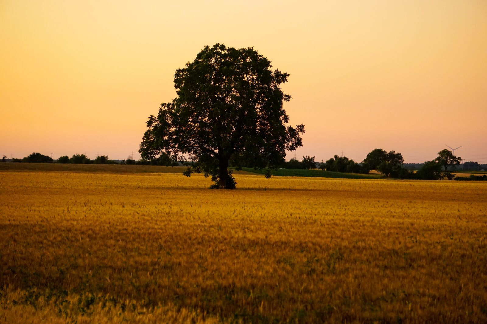 Sony E 55-210mm F4.5-6.3 OSS sample photo. Evening sky, dusk, evening photography