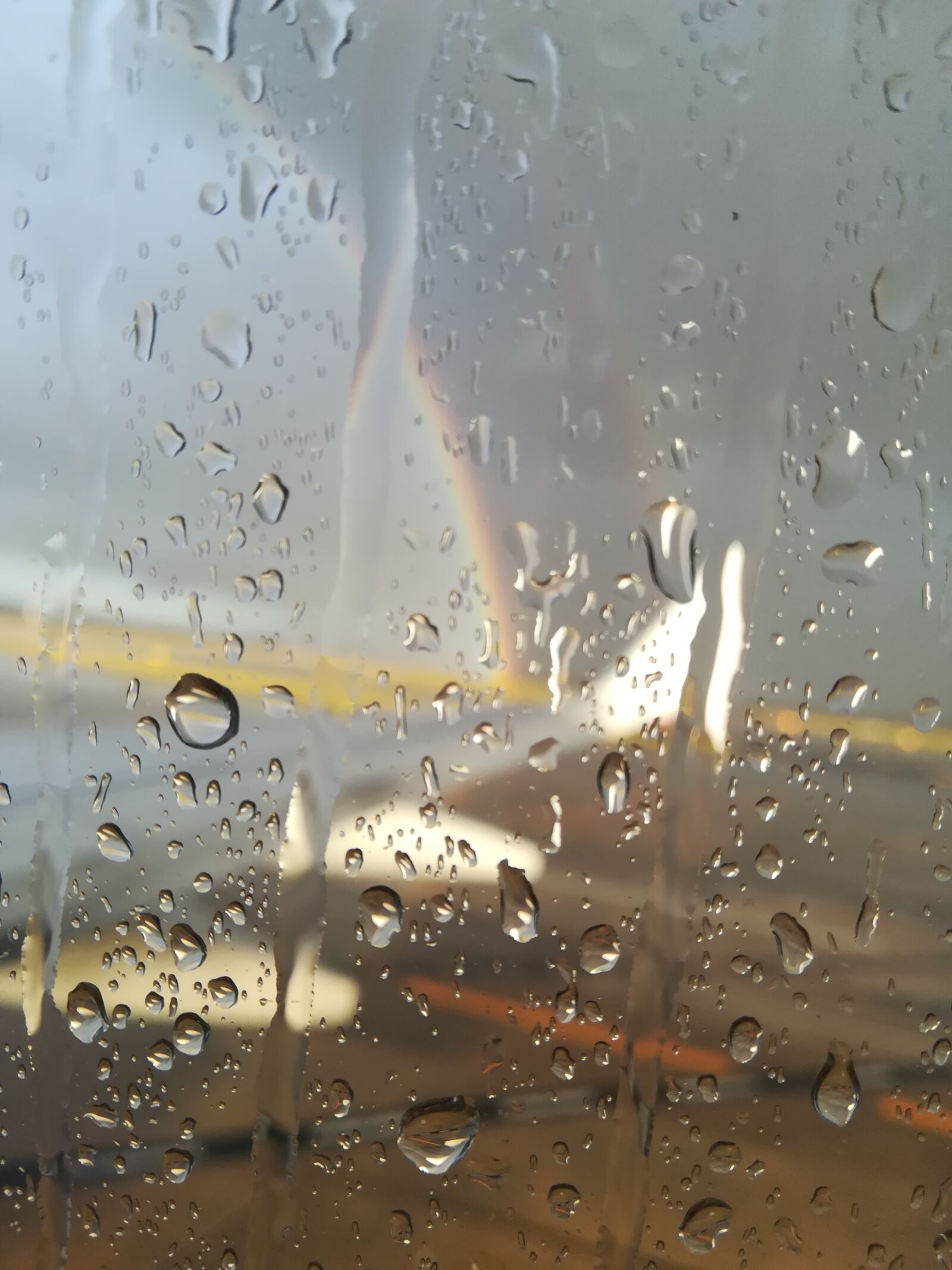HUAWEI P10 lite sample photo. Rain, drop, wet photography