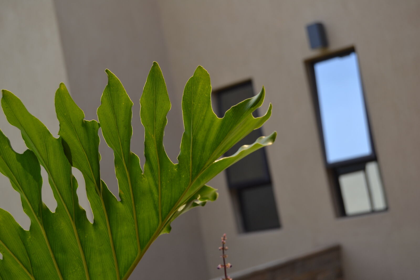 Nikon D3100 sample photo