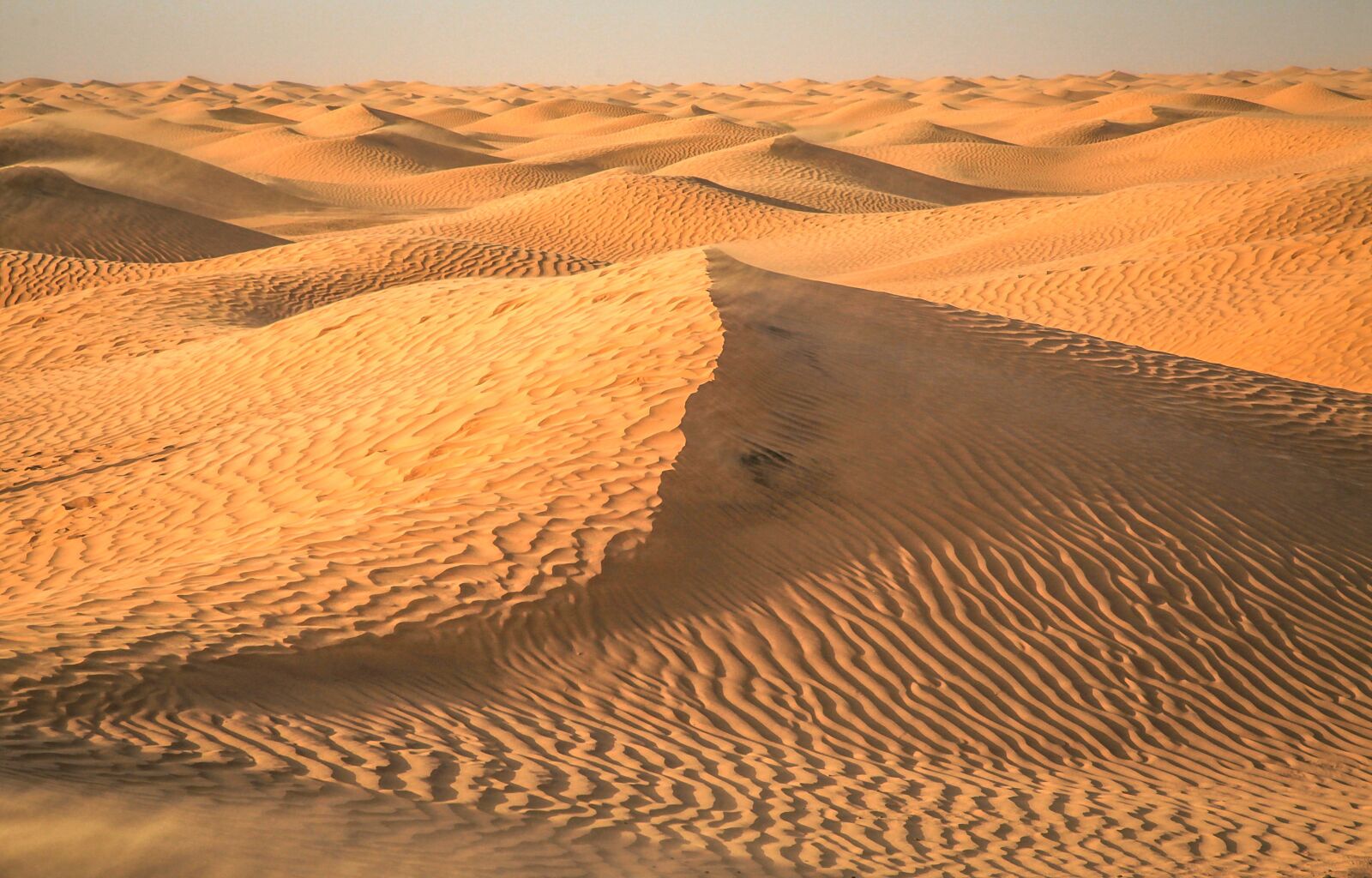 Canon EOS 5D Mark II sample photo. Desert, tunisia, sahara photography