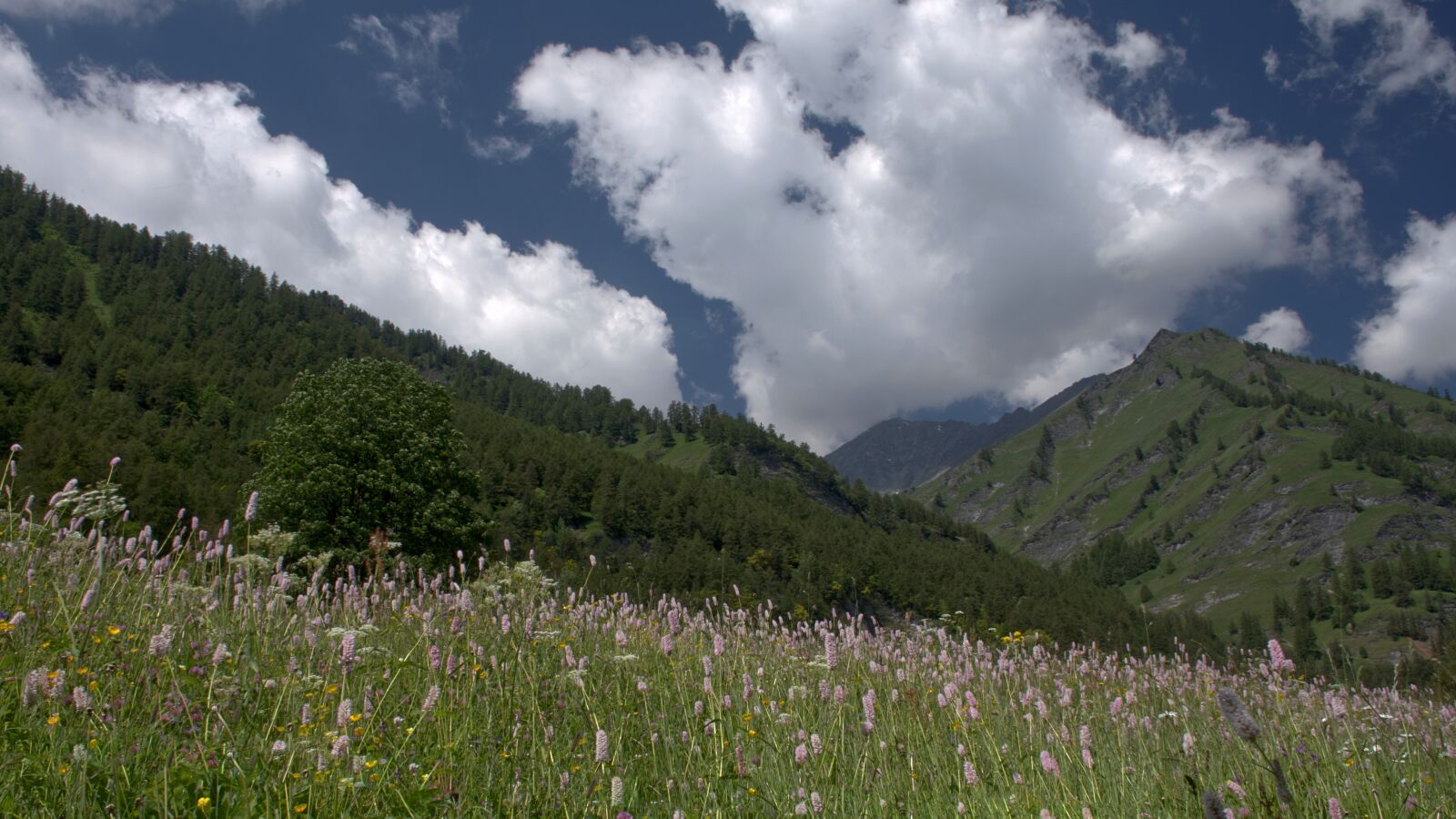 Nikon D7200 sample photo. Outdoor, landscape, nature photography