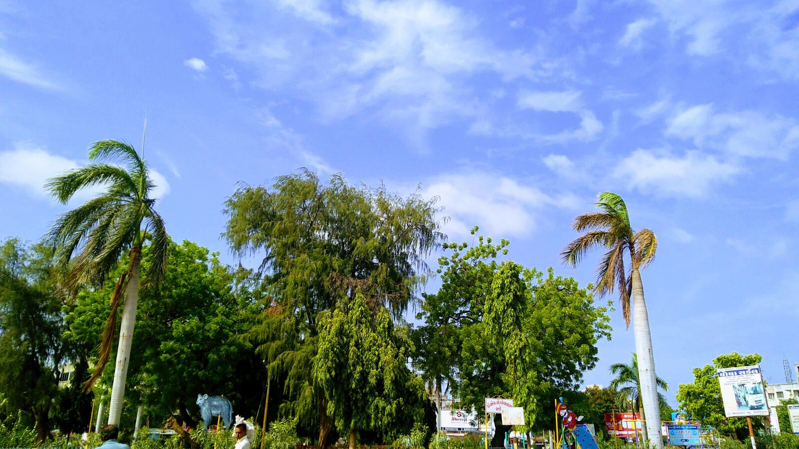 Motorola Moto G (5S) Plus sample photo. Sky, tree, landscape photography