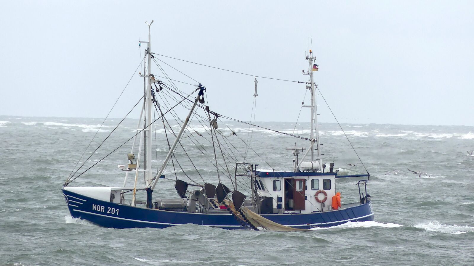 Panasonic Lumix DMC-FZ300 sample photo. North sea, cutter, crabs photography