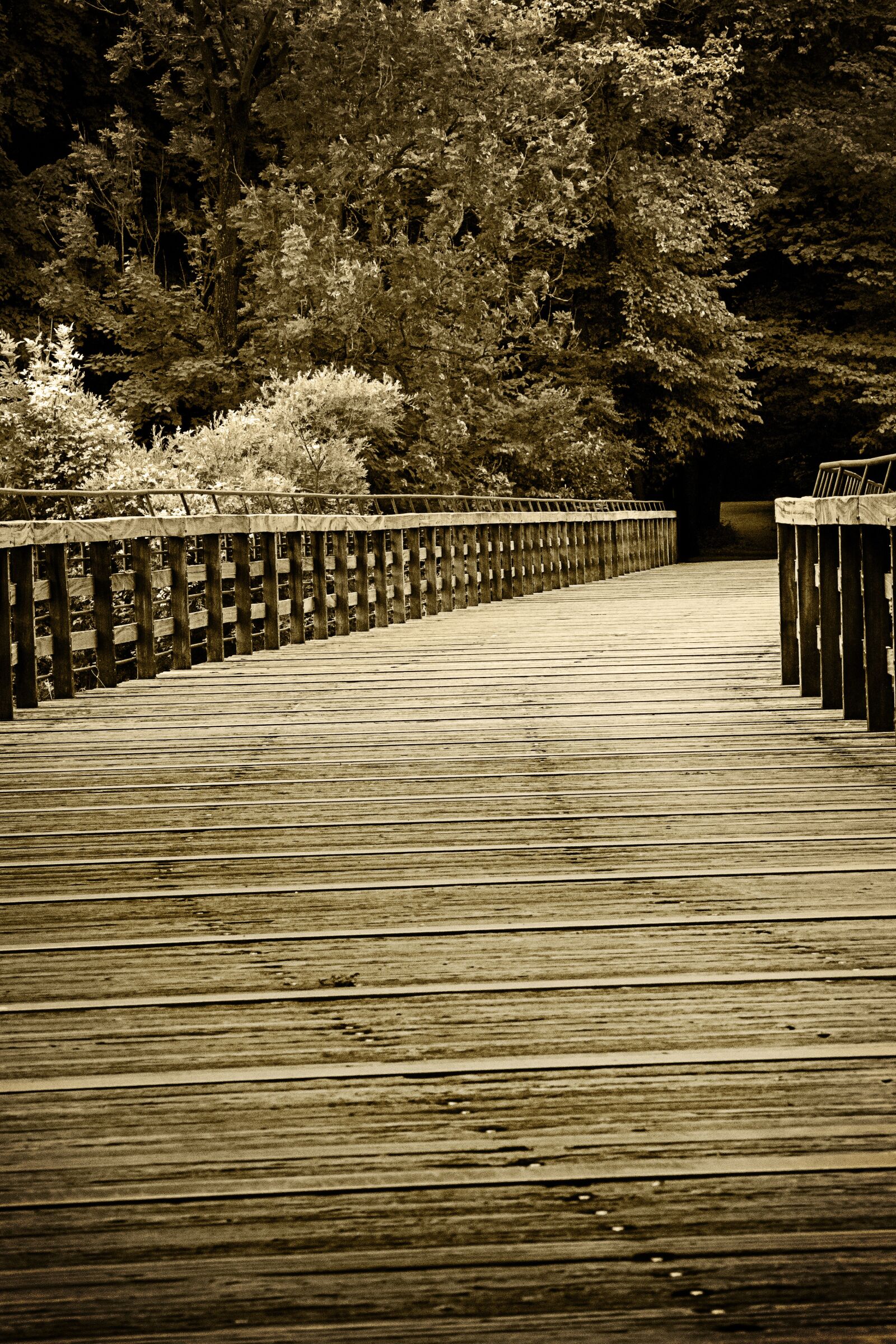 Canon EOS 6D + Canon EF 70-200mm F4L USM sample photo. Bridge, web, away photography